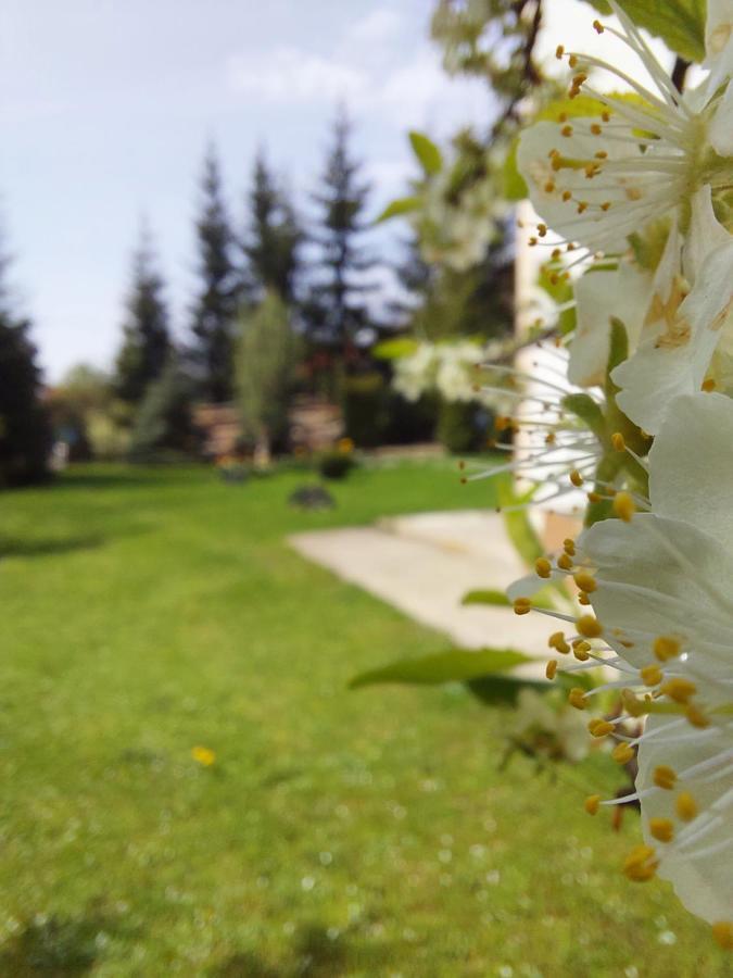 Apartmani Nika Zlatibor Esterno foto