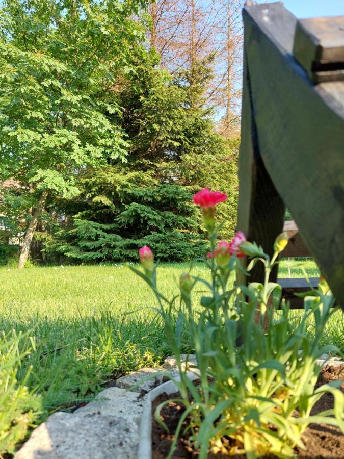 Apartmani Nika Zlatibor Esterno foto