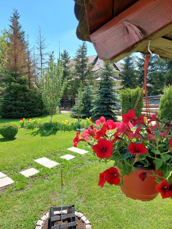 Apartmani Nika Zlatibor Esterno foto
