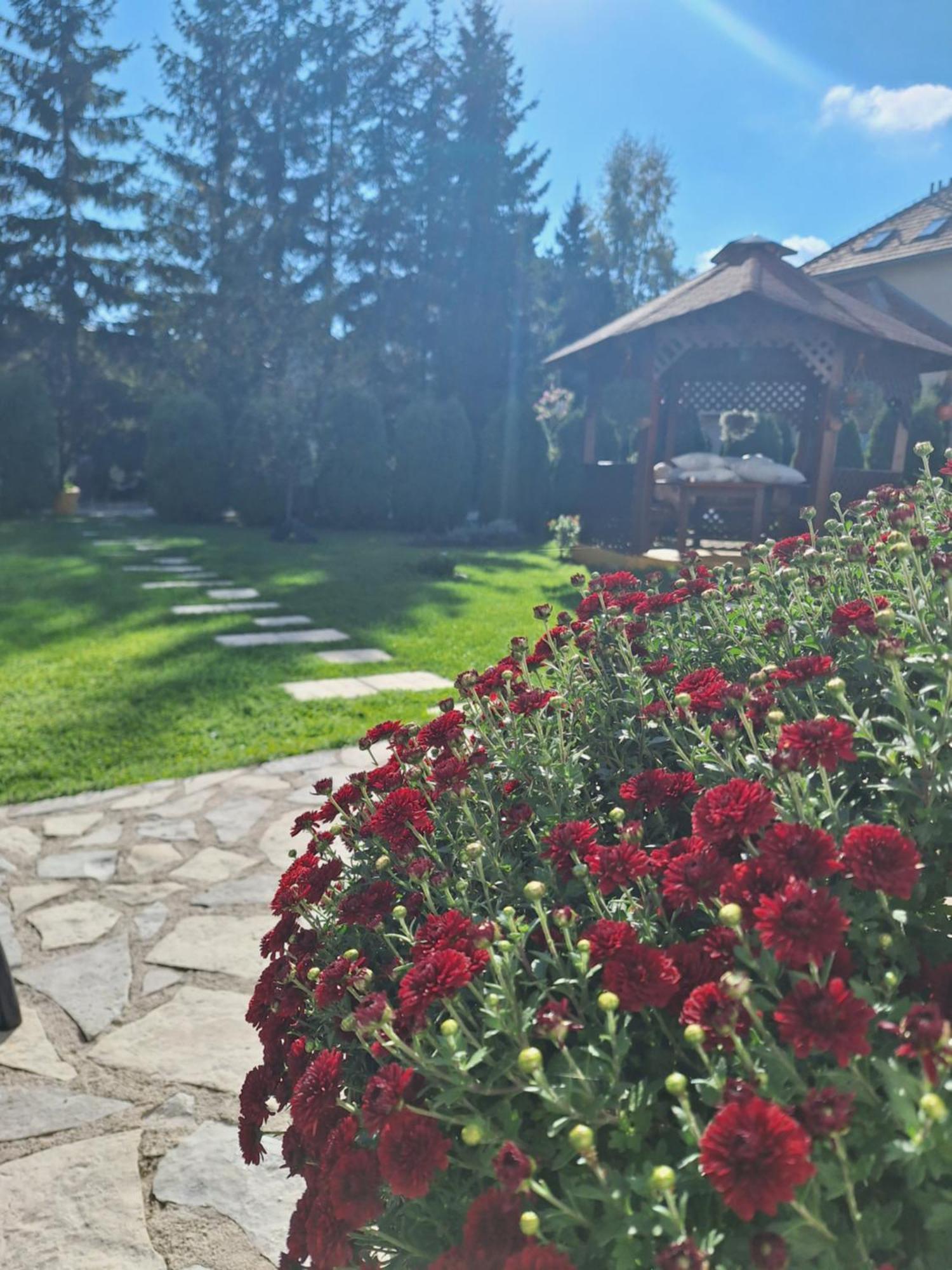 Apartmani Nika Zlatibor Esterno foto