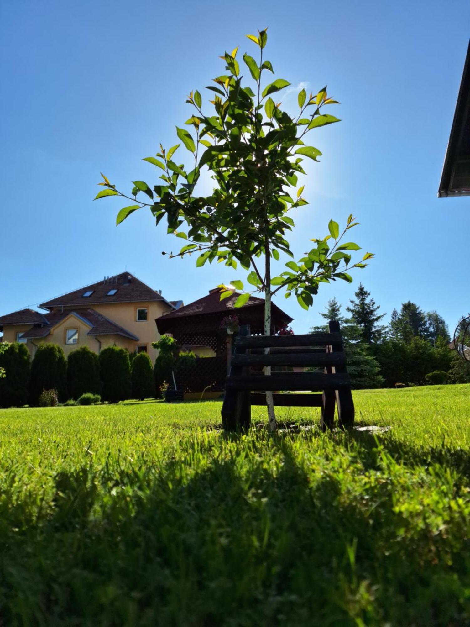 Apartmani Nika Zlatibor Esterno foto
